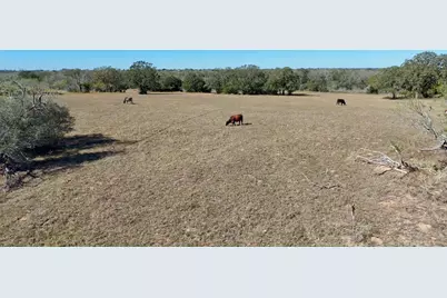 Tract 2 County Road 283, Harwood, TX 78632 - Photo 7