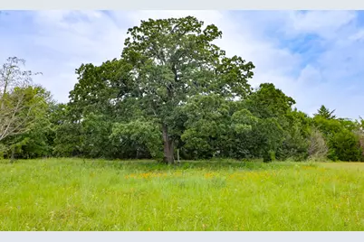 12029 Eagle Lane, North Zulch, TX 77872 - Photo 23