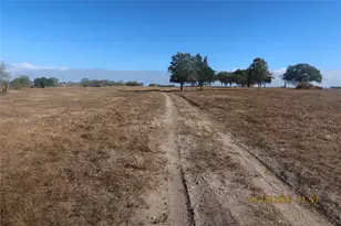 566 Co Rd 430, Hallettsville, TX 77964 - Photo 5