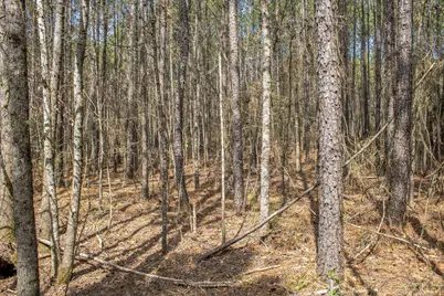 0 Sid Dennis Lane, San Augustine, TX 75972 - Photo 21