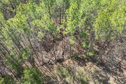 0 Sid Dennis Lane, San Augustine, TX 75972 - Photo 33