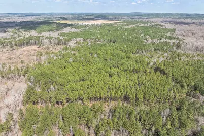 0 Sid Dennis Lane, San Augustine, TX 75972 - Photo 9