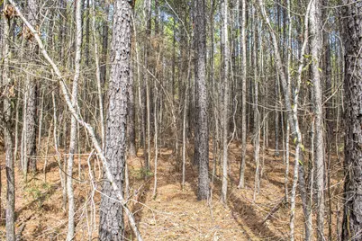 0 Sid Dennis Lane, San Augustine, TX 75972 - Photo 23
