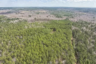 0 Sid Dennis Lane, San Augustine, TX 75972 - Photo 19