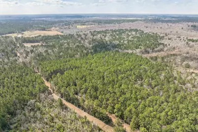 0 Sid Dennis Lane, San Augustine, TX 75972 - Photo 5