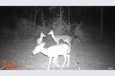 000 Fm 1005, Jasper, TX 75951 - Photo 9