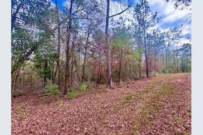 000 Fm 1005, Jasper, TX 75951 - Photo 3