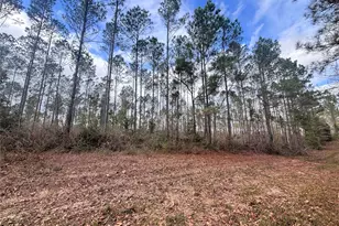 000 Fm 1005, Jasper, TX 75951 - Photo 1