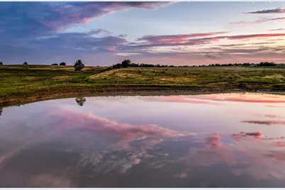 Tbd Sunny Meadow Lot 18 Drive, Chappell Hill, TX 77426 - Photo 17