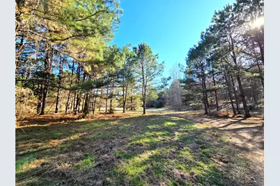 3901 County Road 1585, Grapeland, TX 75844 - Photo 11