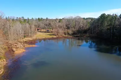 3901 County Road 1585, Grapeland, TX 75844 - Photo 1