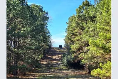 3901 County Road 1585, Grapeland, TX 75844 - Photo 7