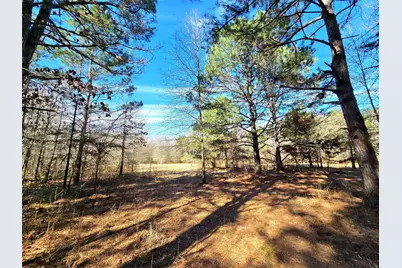 3901 County Road 1585, Grapeland, TX 75844 - Photo 27