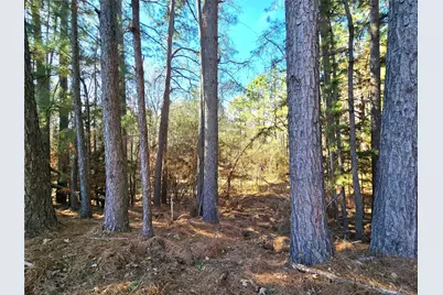 3901 County Road 1585, Grapeland, TX 75844 - Photo 29