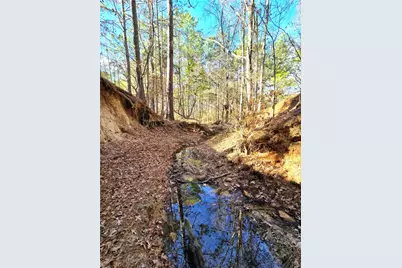 3901 County Road 1585, Grapeland, TX 75844 - Photo 21