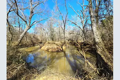 3901 County Road 1585, Grapeland, TX 75844 - Photo 45