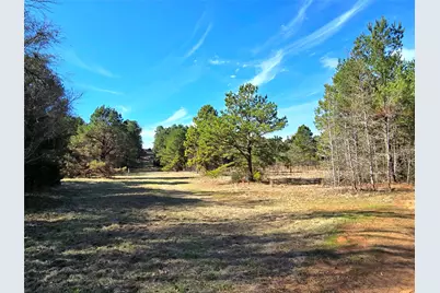 3901 County Road 1585, Grapeland, TX 75844 - Photo 5