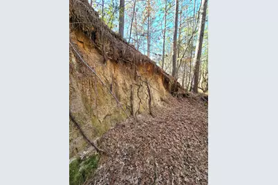 3901 County Road 1585, Grapeland, TX 75844 - Photo 19