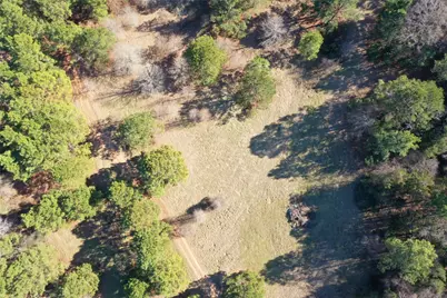 3901 County Road 1585, Grapeland, TX 75844 - Photo 35