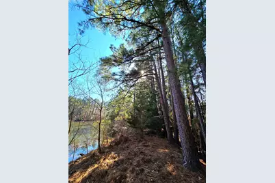 3901 County Road 1585, Grapeland, TX 75844 - Photo 17