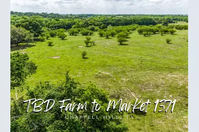 Tbd Farm To Market 1371, Chappell Hill, TX 77426 - Photo 1