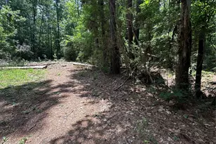 Lot 715 & Lot 716 N Royal Estates Dr, Conroe, TX 77303 - Photo 1