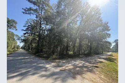 0 Dennis Peyton Road, Shepherd, TX 77371 - Photo 1