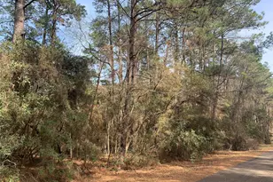 19 Pavlock Rd, Navasota, TX 77868 - Photo 1