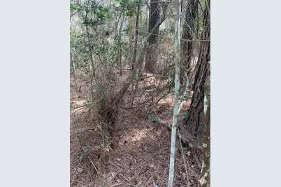 19 Pavlock Road, Navasota, TX 77868 - Photo 21