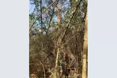 19 Pavlock Road, Navasota, TX 77868 - Photo 17