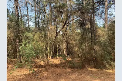 19 Pavlock Road, Navasota, TX 77868 - Photo 3