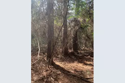 19 Pavlock Road, Navasota, TX 77868 - Photo 19