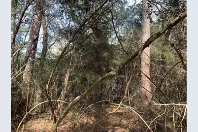 19 Pavlock Road, Navasota, TX 77868 - Photo 7