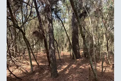 19 Pavlock Road, Navasota, TX 77868 - Photo 11