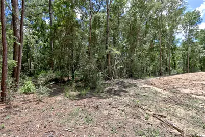 258 Heartland Road, New Waverly, TX 77358 - Photo 19