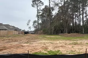 5619 Pearl Vis Dr, Katy, TX 77493 - Photo 9