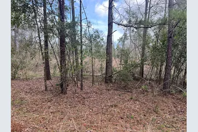 Tbd Three Bridges Road, Livingston, TX 77351 - Photo 19