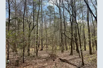 Tbd Three Bridges Road, Livingston, TX 77351 - Photo 15