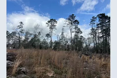 Tbd Three Bridges Road, Livingston, TX 77351 - Photo 1