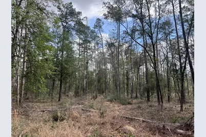 Tbd Three Bridges Road, Livingston, TX 77351 - Photo 5