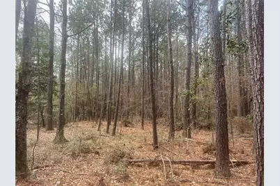 Tbd Three Bridges Road, Livingston, TX 77351 - Photo 17