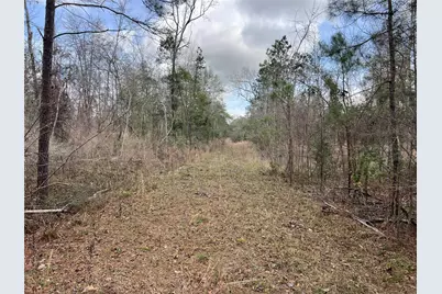 Tbd Three Bridges Road, Livingston, TX 77351 - Photo 21