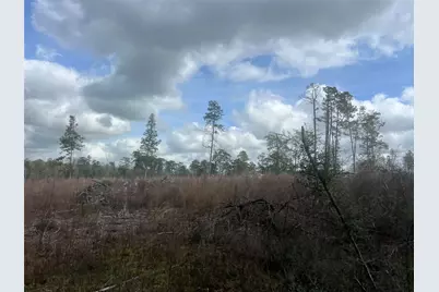 Tbd Three Bridges Road, Livingston, TX 77351 - Photo 9