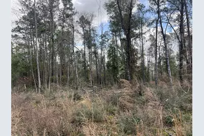 Tbd Three Bridges Road, Livingston, TX 77351 - Photo 3