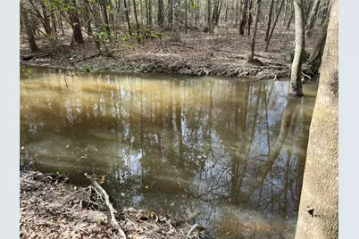 Tbd Three Bridges Road, Livingston, TX 77351 - Photo 11