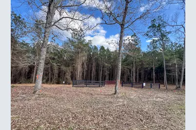 11 Sugar Hill Road, Livingston, TX 77351 - Photo 9