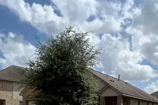 3555 Paganini Pl, Katy, TX 77493 - Photo 3