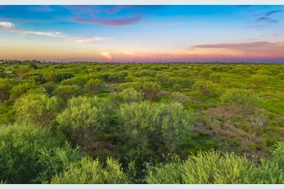 Tbd Guettermann-Ehler Road, Flatonia, TX 78941 - Photo 15