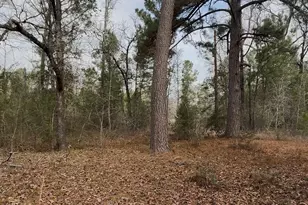 24159 Weeren Rd, Montgomery, TX 77316 - Photo 1