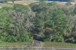 17381 FM 1484 Rd, Conroe, TX 77303 - Photo 37